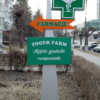 firma-luminoasa-farmacie